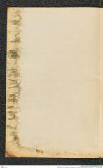 Nachlass Franz Steindachner, historischer Umschlag, Korrespondenz Schaedle, Inv.Nr. 441.05, Seite 2